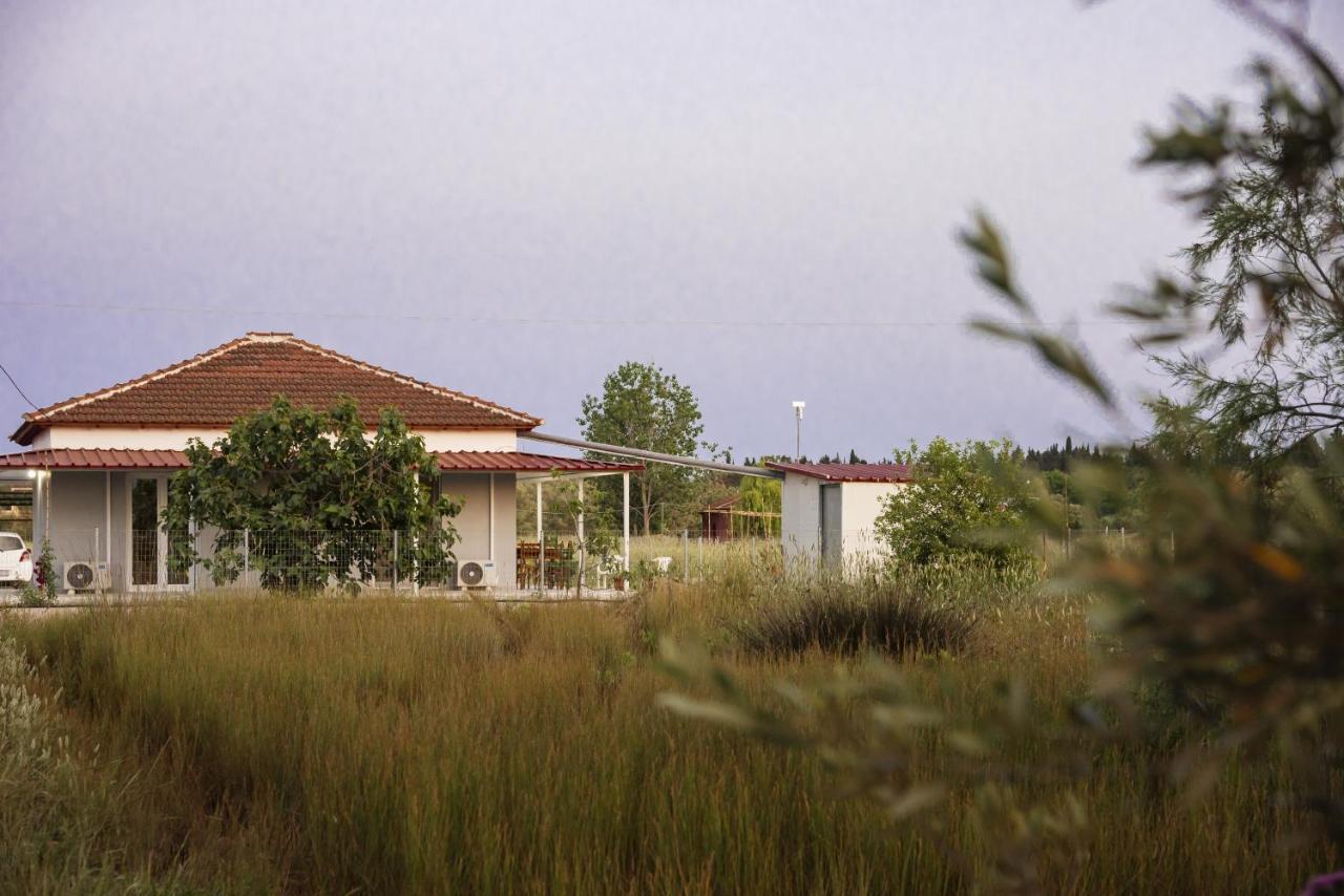 Villa Rosa South Corfu Mokilas Zewnętrze zdjęcie
