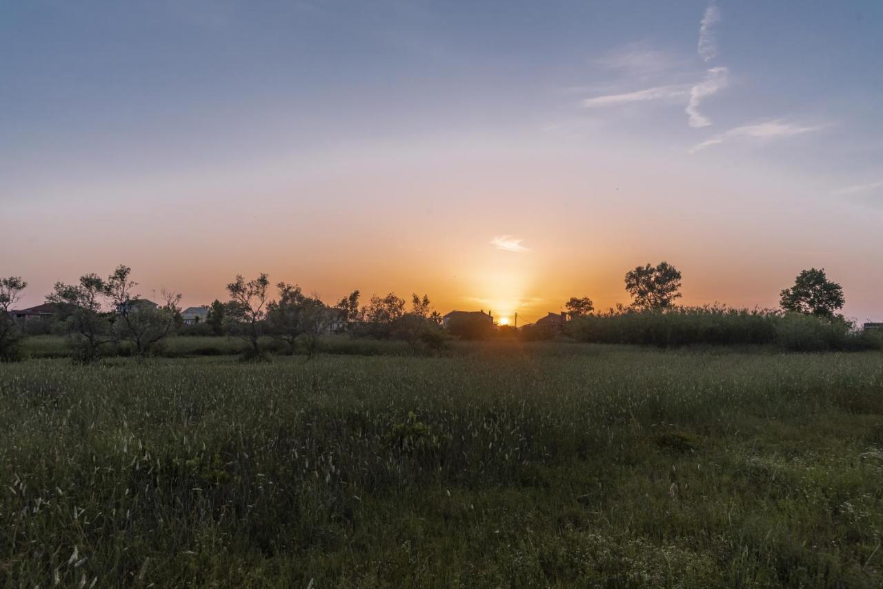 Villa Rosa South Corfu Mokilas Zewnętrze zdjęcie